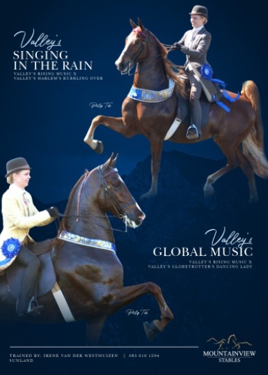 R900 - PREMIUM - 2 CUT OUT IMAGES WITH TEXT