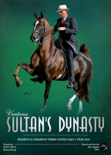 R600 - STANDARD - 1 CUT OUT IMAGE WITH TEXT